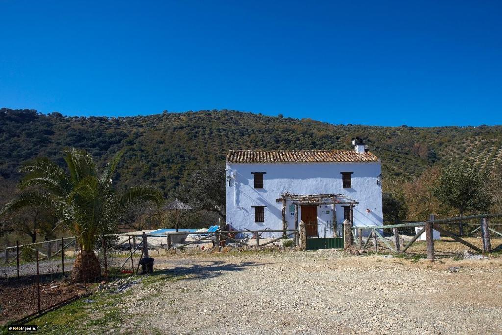 Hotel Enrique Calvillo El Bosque Quarto foto