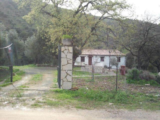 Hotel Enrique Calvillo El Bosque Quarto foto